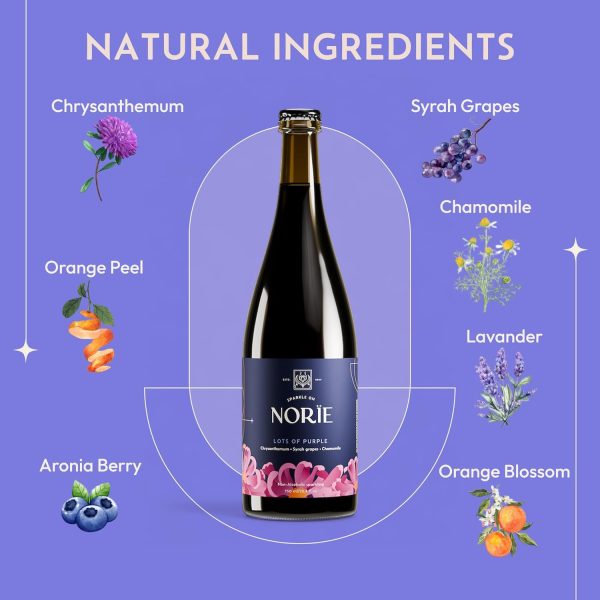 Norïe Non-Alcoholic Sparkling Wine Botanical Floral Bouquet-4